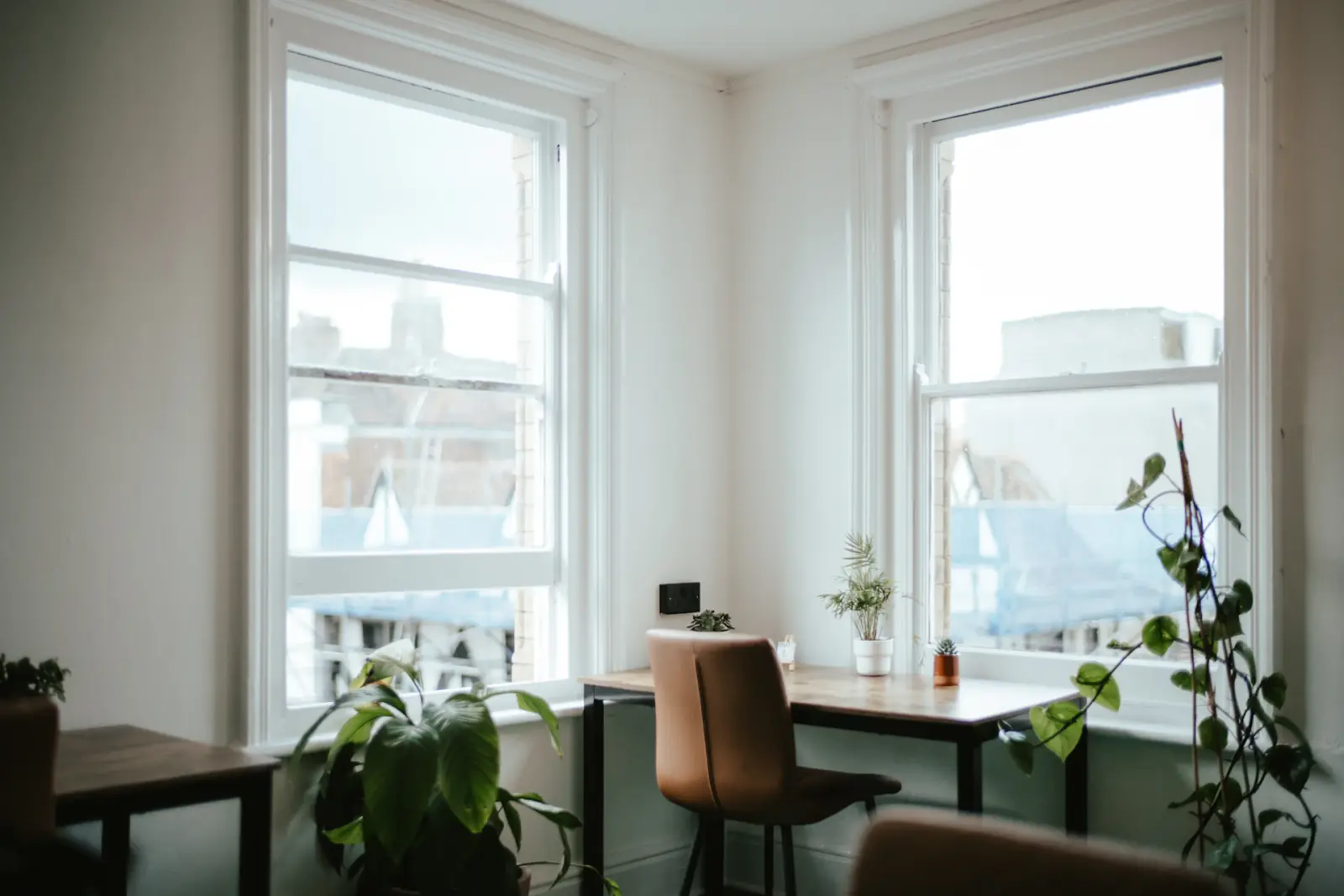 Bureau aux grandes fenêtres propres, plantes et lumière naturelle