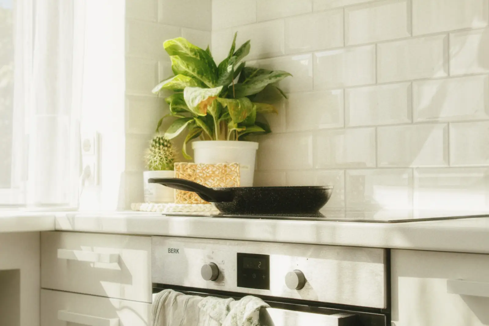 Plan de travail blanc et carrelage propres, avec une plante